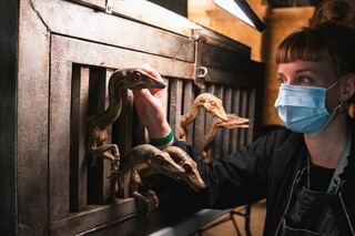 Мир Юрского периода: Господство