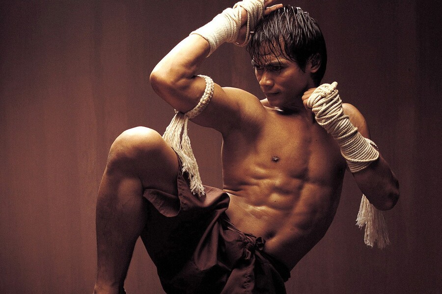 10 лучших фильмов о боевых искусствах