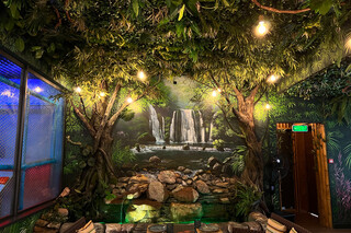 Jungle Family Club