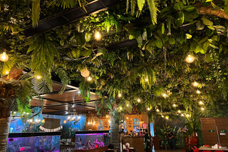 Jungle Family Club