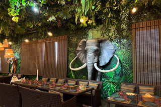 Jungle Family Club