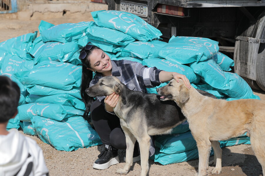 Луиза Расулова организовала благотворительное пожертвование для бездомных животных
