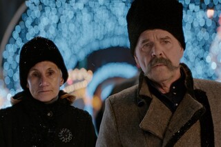 Дикие предки