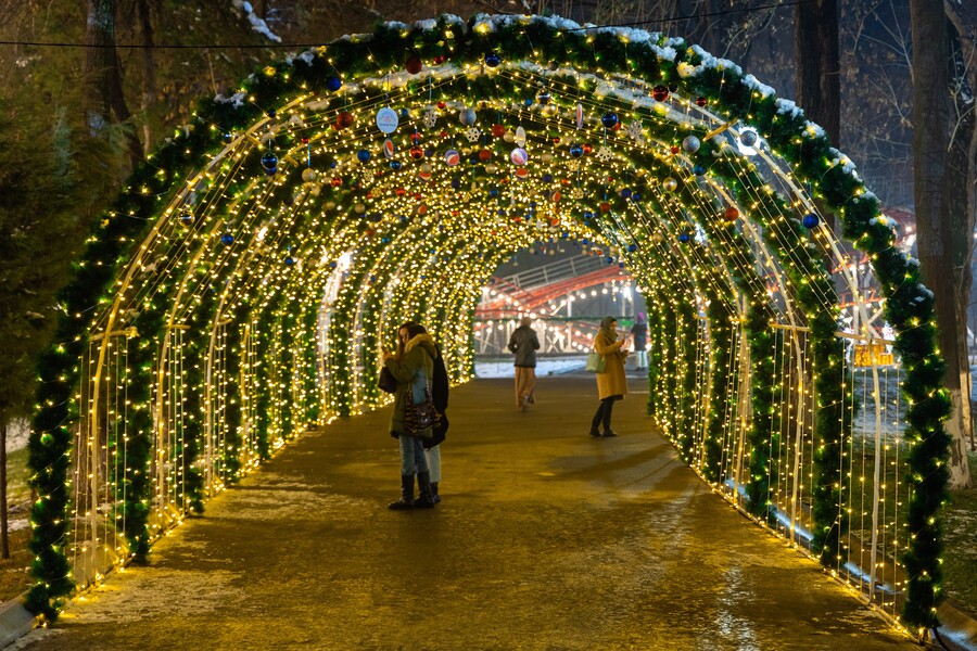 Central Park будет полностью закрыт с 28 ноября