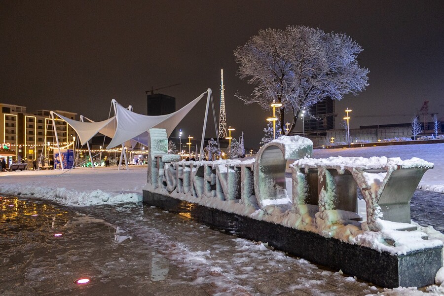 Новогодние представления в парке Tashkent City
