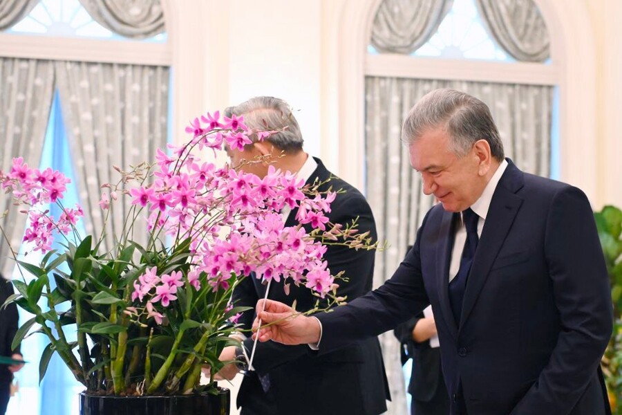 Новый сорт орхидеи назван в честь Шавката Мирзиёева