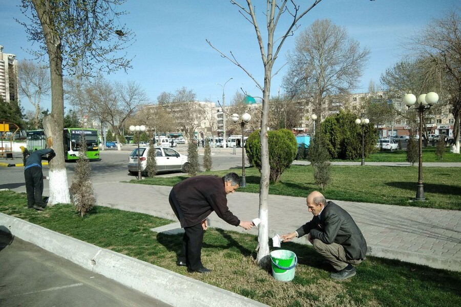 11 марта состоится всенародный хашар