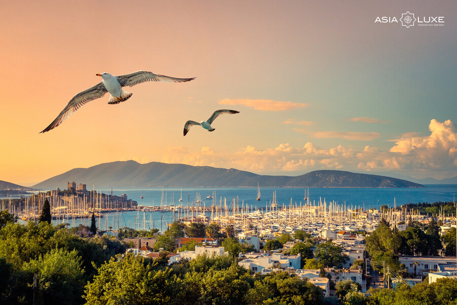 Под солнцем Бодрума: Asialuxe Travel запускает прямые рейсы на респектабельный турецкий курорт