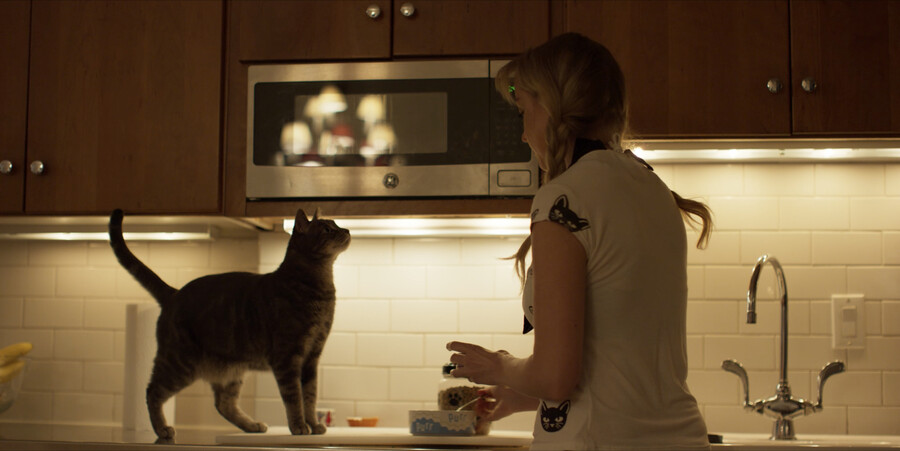 Fresh step commercial best sale cat on roomba