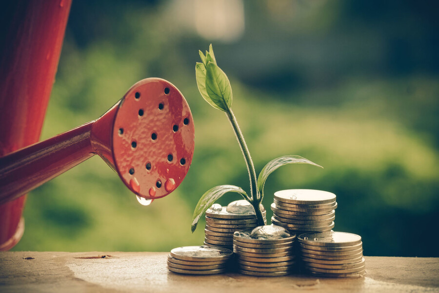 "How to grow your money" nomli bepul seminar