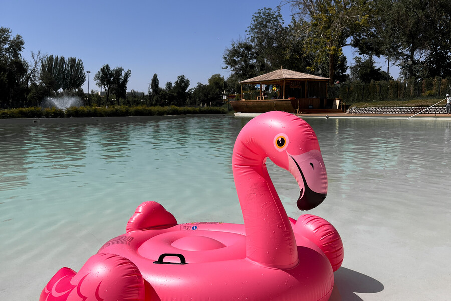 DIY sharqona shippak namunasi