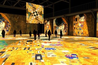 "Gustav Klimt va buyuk impressionistlar" koʻrgazmasi vaqtinchalik yopiladi