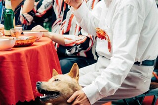 Хатико