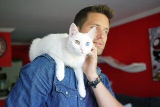 Кошатники