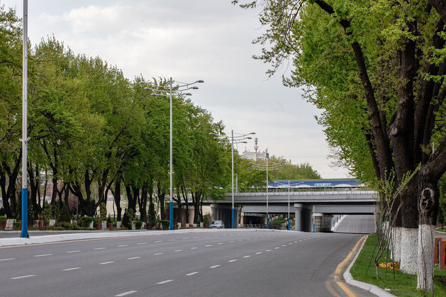 День без автомобиля пройдет в Ташкенте