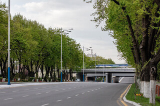 День без автомобиля пройдет в Ташкенте