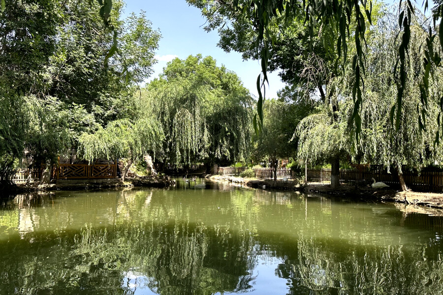 Ресторан Lago Park приглашает попробовать авторские блюда европейской кухни