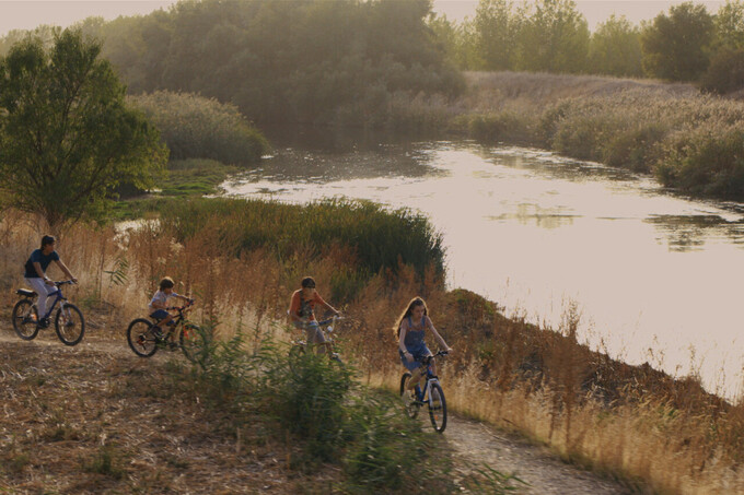 Trailer