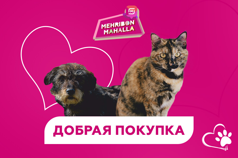 «Добрые покупки» в M Cosmetic помогут бездомным животным