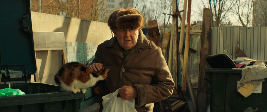 Пять процентов