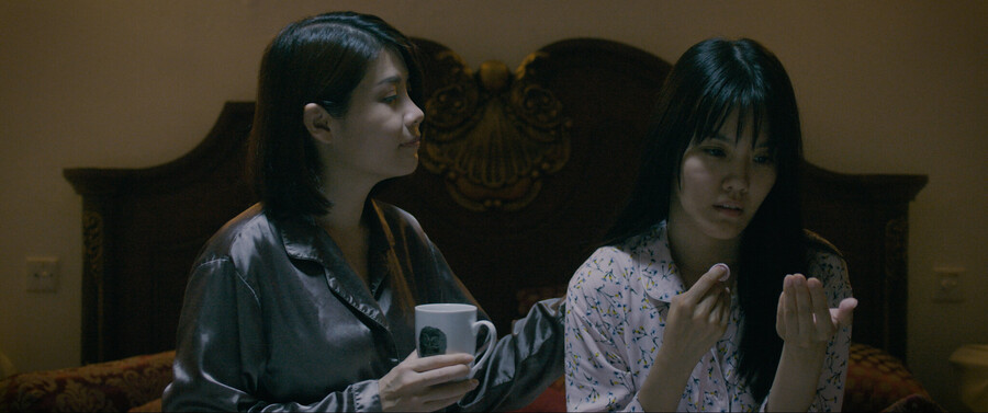 Призраки: Чужая жизнь