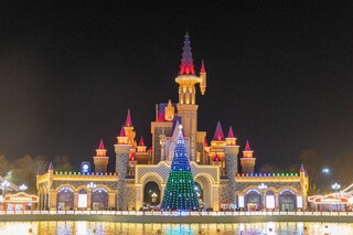 Toshkentdagi barcha bayram archalari ro‘yxati e’lon qilindi