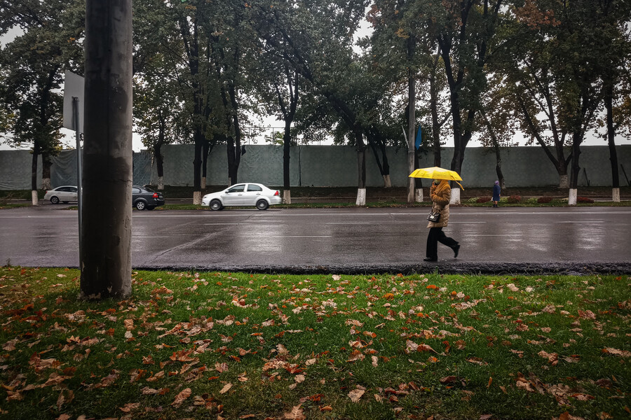 Дожди ожидаются в Узбекистане на выходных 27 и 28 января