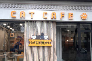 Cats & Friends: первое котокафе в Узбекистане 