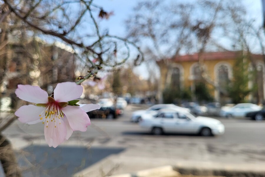 Значительное потепление ожидается с 4 марта в Узбекистане