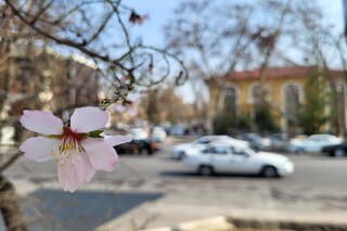 Значительное потепление ожидается с 4 марта в Узбекистане