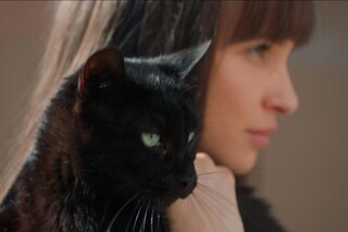 Я — кот