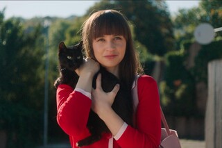 Я — кот