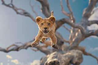 Вышел первый трейлер фильма «Муфаса: Король лев»