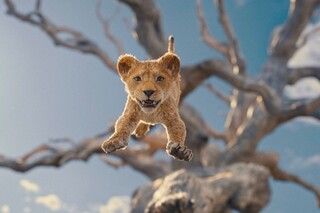 "Mufasa: Qirol sher" multfilmining birinchi treyleri e'lon qilindi