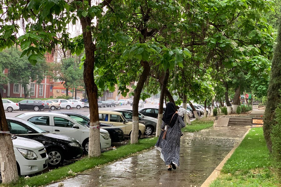 В Ташкенте ожидаются дожди в ближайшие три дня 