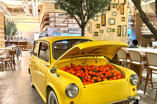 Cucucina