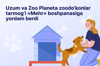 Uzum va Zoo Planeta zoo do‘konlar tarmog‘i Mehr boshpanasiga yordam berdi