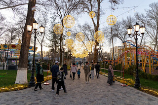 Шоу-программа в Dream Park