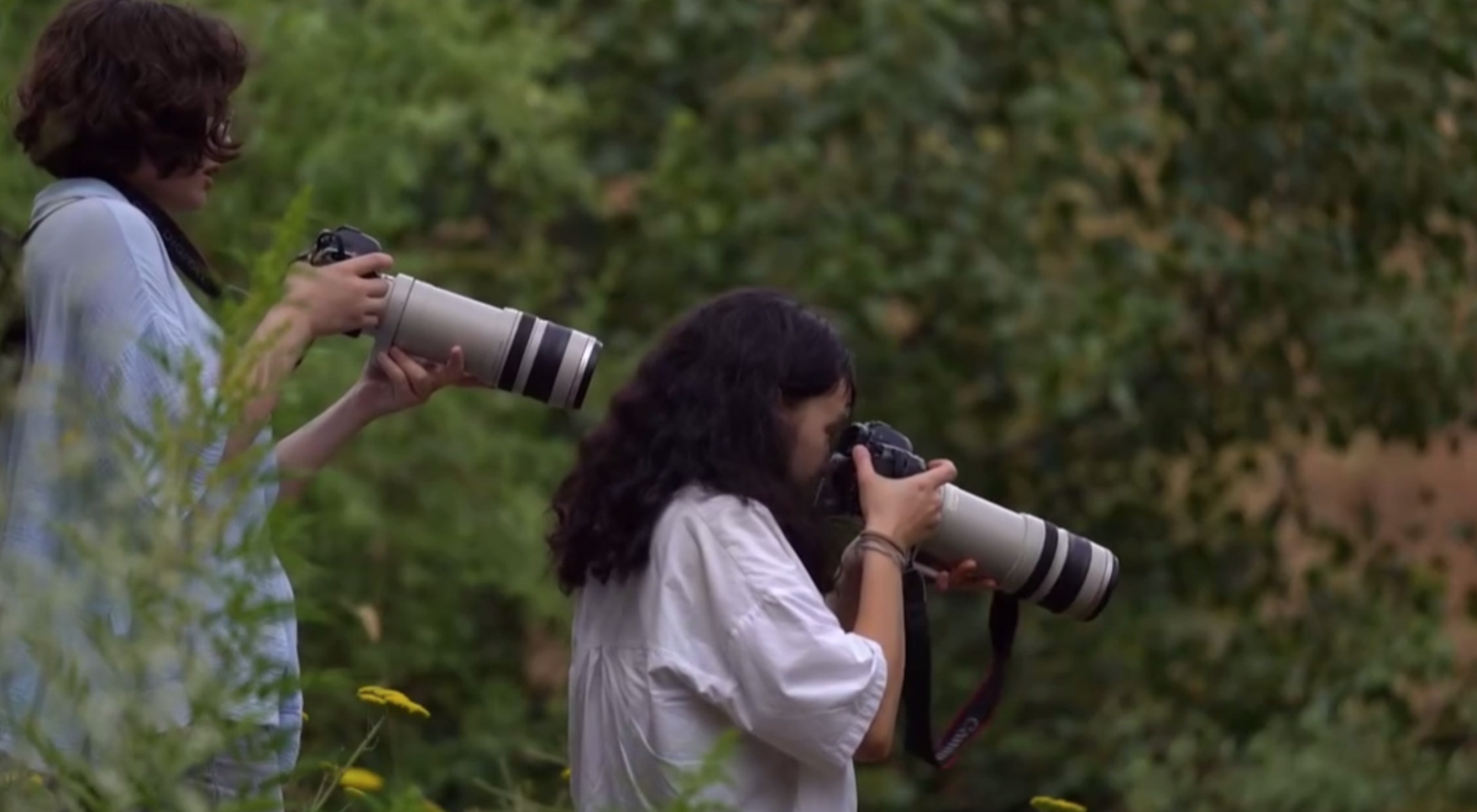 Kamalak jinsiy aloqa