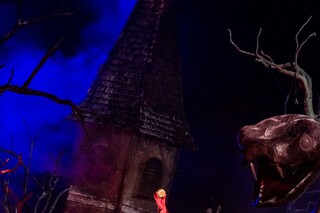 TheatreHD: Брегенцский фестиваль: Вольный стрелок