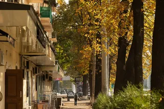 Dam olish kunlar havo harorati 15 darajagacha koʻtariladi