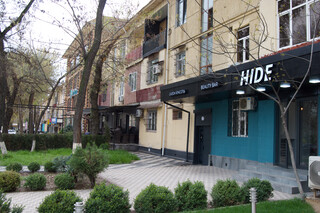 Hide