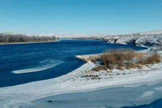 Шаман