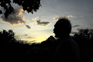 Хаяо Миядзаки и птица