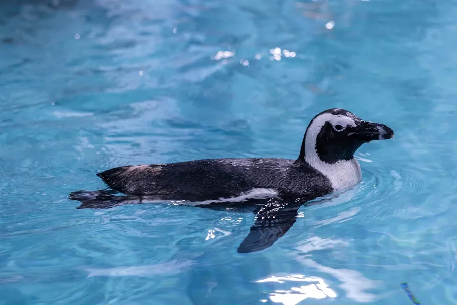 Soqolini qilmagan rus qizlari ishtirokidagi porno Blog gey biseksual cuckolds porno onlayn