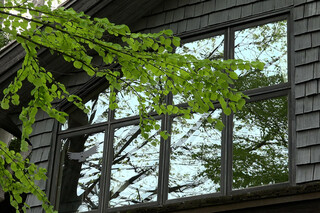 Хаяо Миядзаки и птица