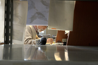 Хаяо Миядзаки и птица