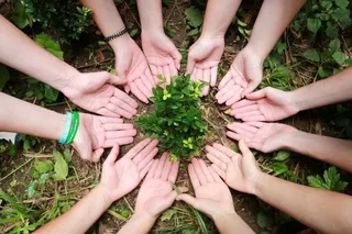 Зоозащитный экофестиваль Eco Dunyo