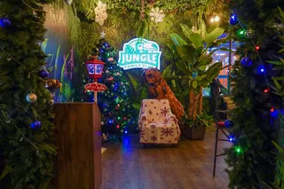 Jungle Family Club'da aksiya