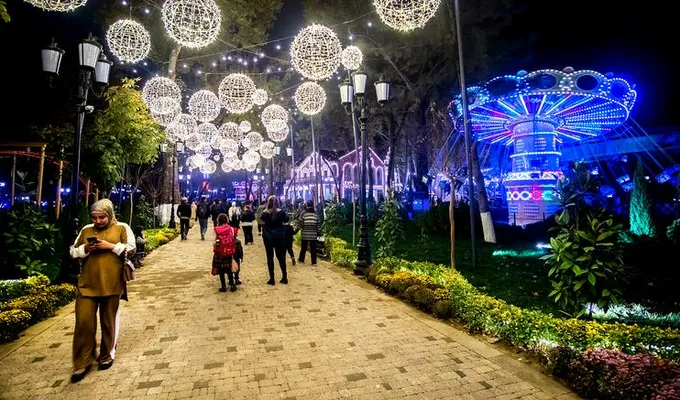 Новогодняя программа в Dream Park